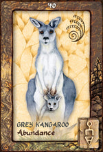 Load image into Gallery viewer, Animal Dreaming Oracle Cards