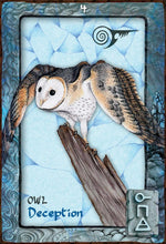 Load image into Gallery viewer, Animal Dreaming Oracle Cards