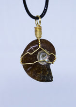 Load image into Gallery viewer, Ammonite Wire Wrapped Pendant
