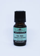 Load image into Gallery viewer, Tea Tree - Essential Oil