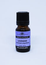 Load image into Gallery viewer, Lavender - Essential Oil