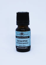 Load image into Gallery viewer, Eucalyptus - Essential Oil