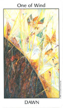 Load image into Gallery viewer, Tarot of the Spirit Deck