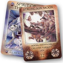 Load image into Gallery viewer, Spirit of the Wheel Meditation Deck
