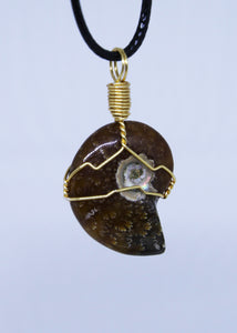 Ammonite Wire Wrapped Pendant