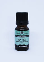 Load image into Gallery viewer, Tea Tree - Essential Oil
