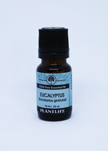 Load image into Gallery viewer, Eucalyptus - Essential Oil
