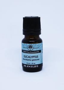 Eucalyptus - Essential Oil